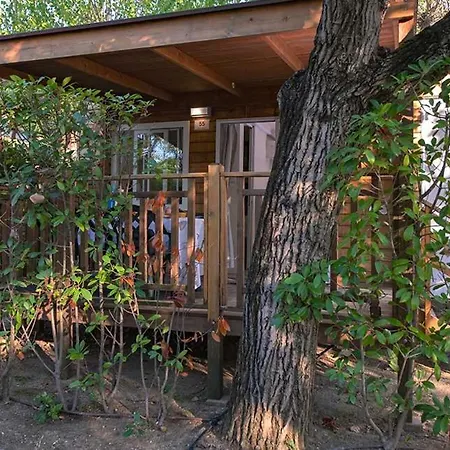 营地 Camping Riccione 里乔内